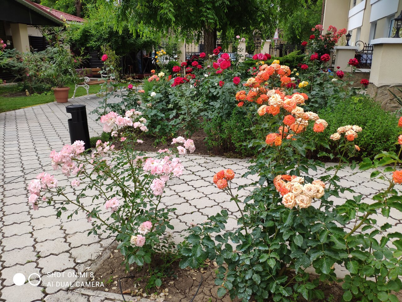 Гостиница Dolce Vita Евпатория-59