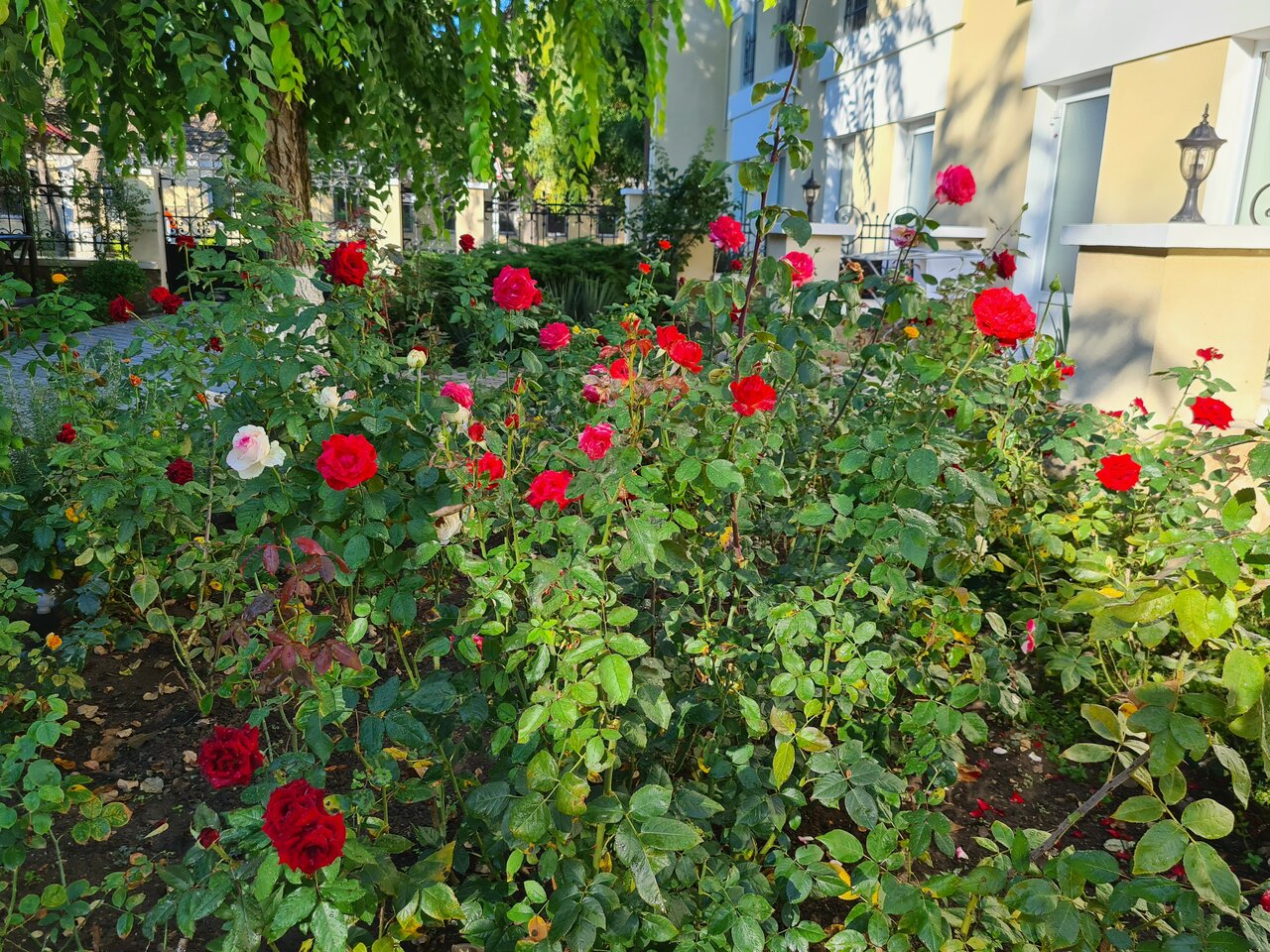 Гостиница Dolce Vita Евпатория-51