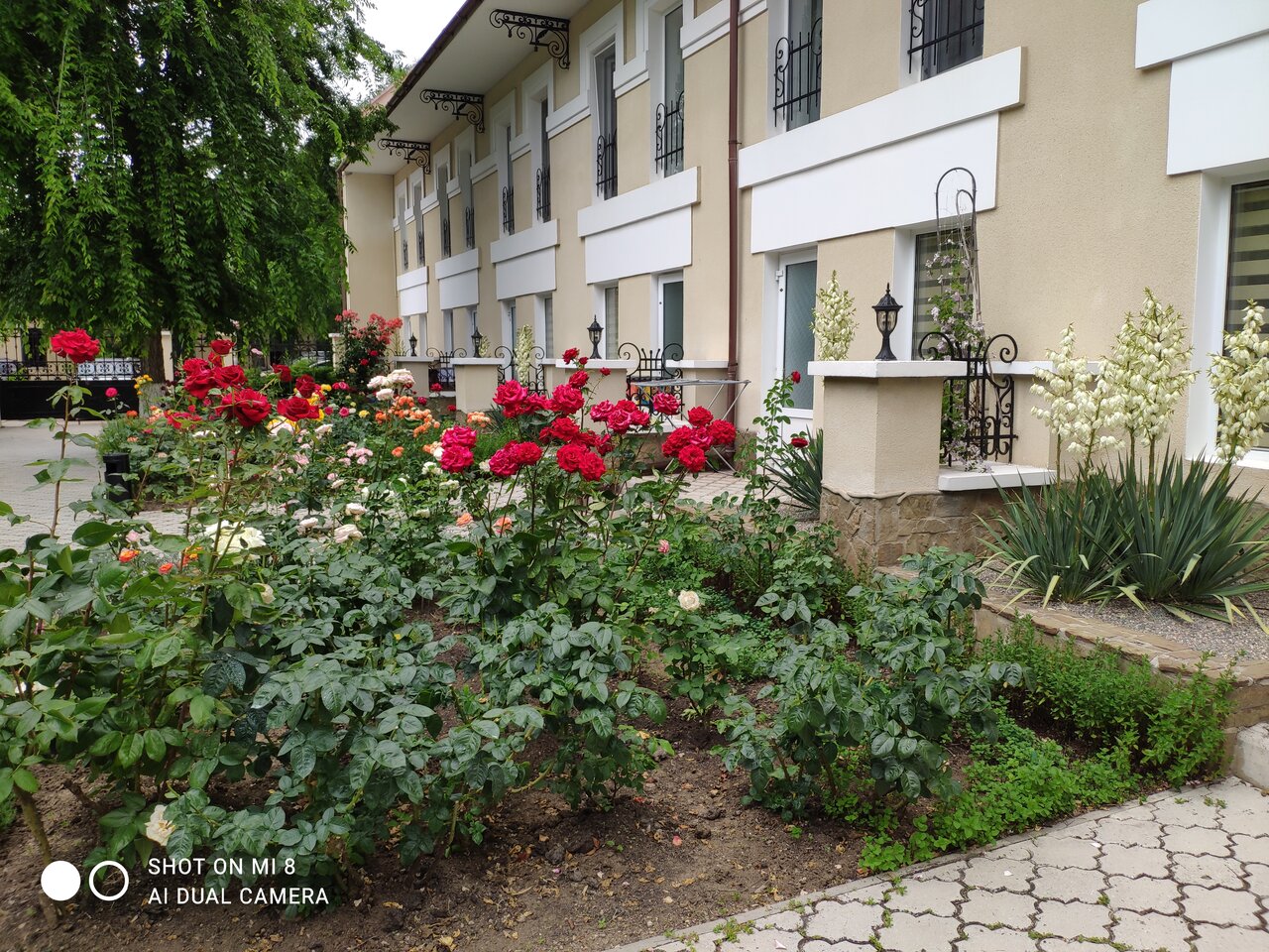 Гостиница Dolce Vita Евпатория-77