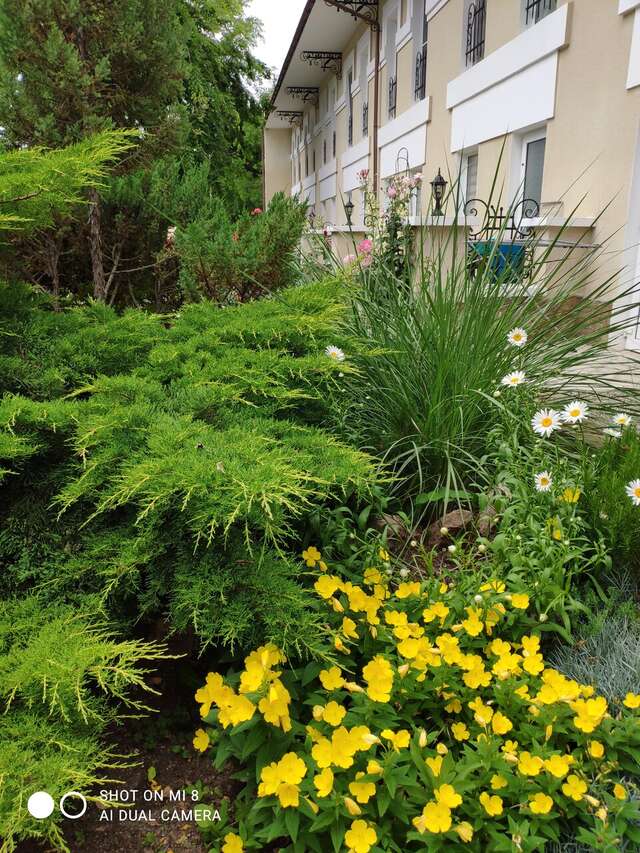 Гостиница Dolce Vita Евпатория-52