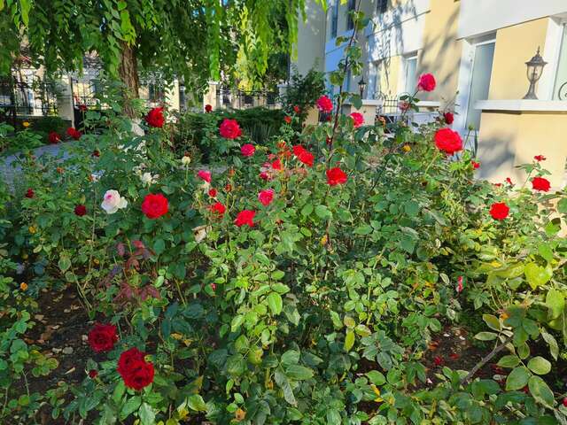 Гостиница Dolce Vita Евпатория-50